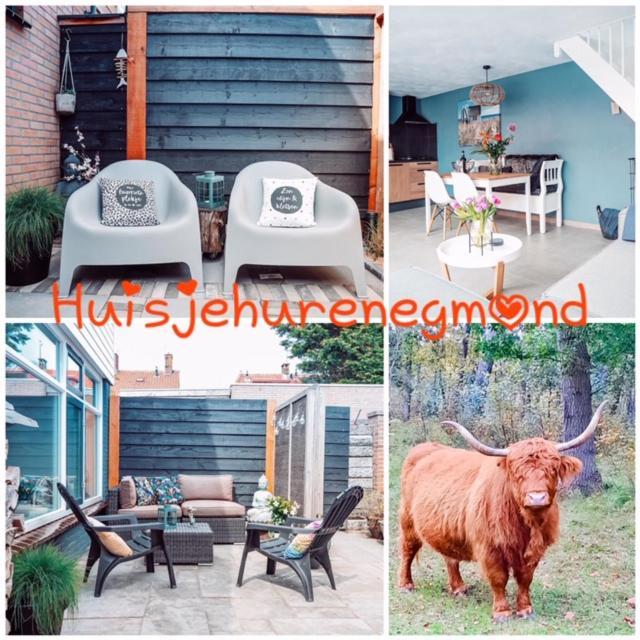 B&B Joeys Place 海边的艾格蒙特 外观 照片